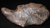 Iron Meteorites from Argentina
