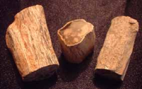 Small pieces of petrified wood