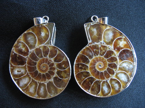 Anhänger Ammonitenpaar