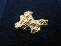 Gold - Nuggets