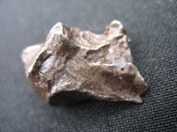 Sikhote - Alin Meteorite