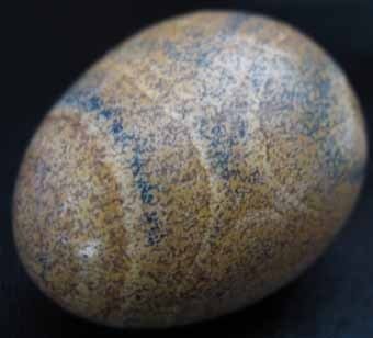 Landscape Jasper Egg