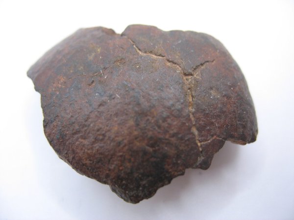 Meteorite from the Sahara - Number 12