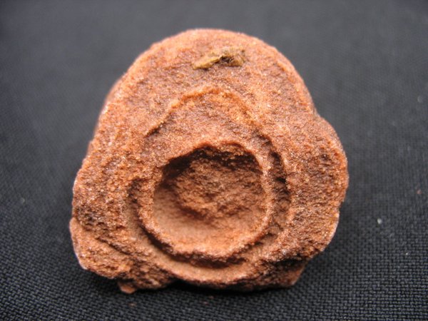 Stromatolith - Nummer 7