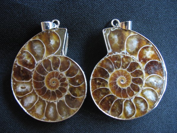 Pair of Ammonites - Pendants
